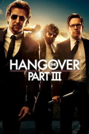 The Hangover Part 3 (2013) Dual Audio {Hindi-English} 480p [300MB] | 720p [1GB] | 1080p [3.8GB]