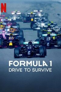 Download Formula 1 Drive to Survive (Season 1 – 5) Dual Audio {Hindi-English} WeB-DL 720p|1080p