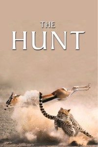Download The Hunt (Season 1) {English With Subtitles} WeB-DL 720p
